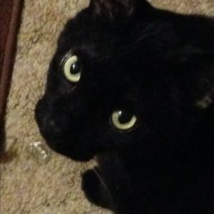 Meet your Posher, Mary-frances